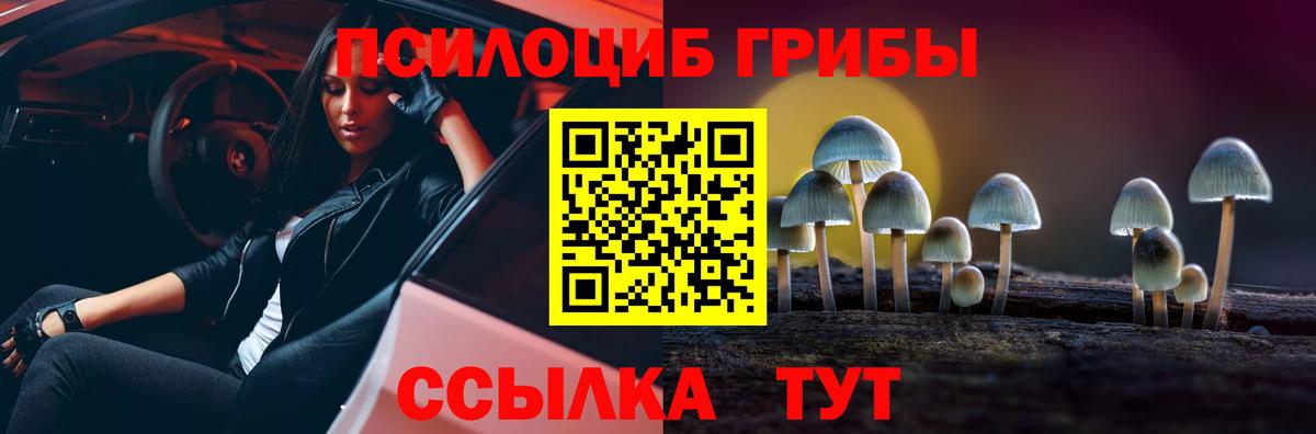 Когалым  Галлюциногенные грибы прущие грибы  Вход с VPN 